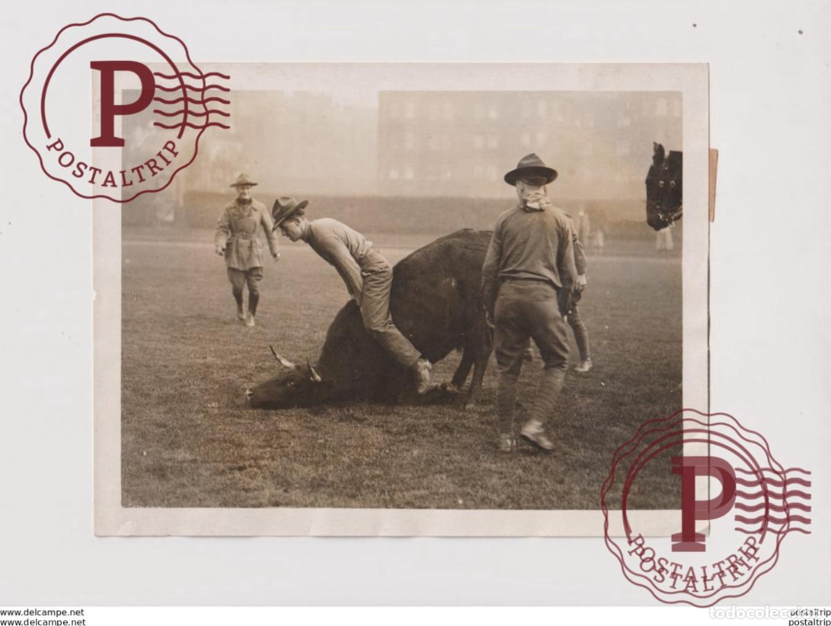 Fotograf&iacute;a antigua: AMERICAN ARMY AND NAVY DEMONSTRATION OF TEAM GAMES QUEENS CLUB Y M C A STEER 21*16CM&nbsp; Fonds Victor