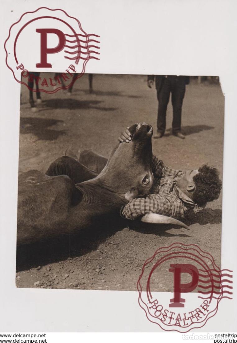 Fotograf&iacute;a antigua: FIGHTING A BULL 18*19CM&nbsp; Fonds Victor FORBIN 1864-1947