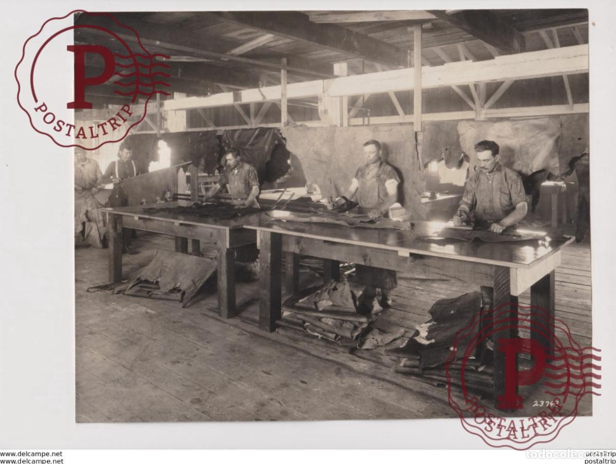 Photographie ancienne: AQUATIC LEATHER FACTORY PACIFIC COAST NORTH AMERICA SHARKS WALRUS WHALE SEAL SEA 25*20CM Fonds Victo