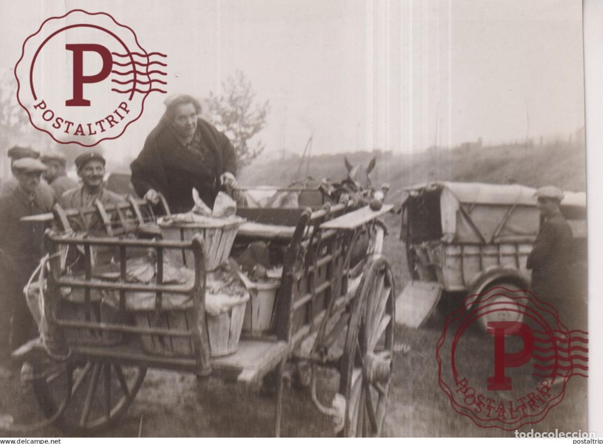 Photographie ancienne: 16*12CM vendimia vendanges druivenoogst vignes vin vino RAISIN VENDEMMIA