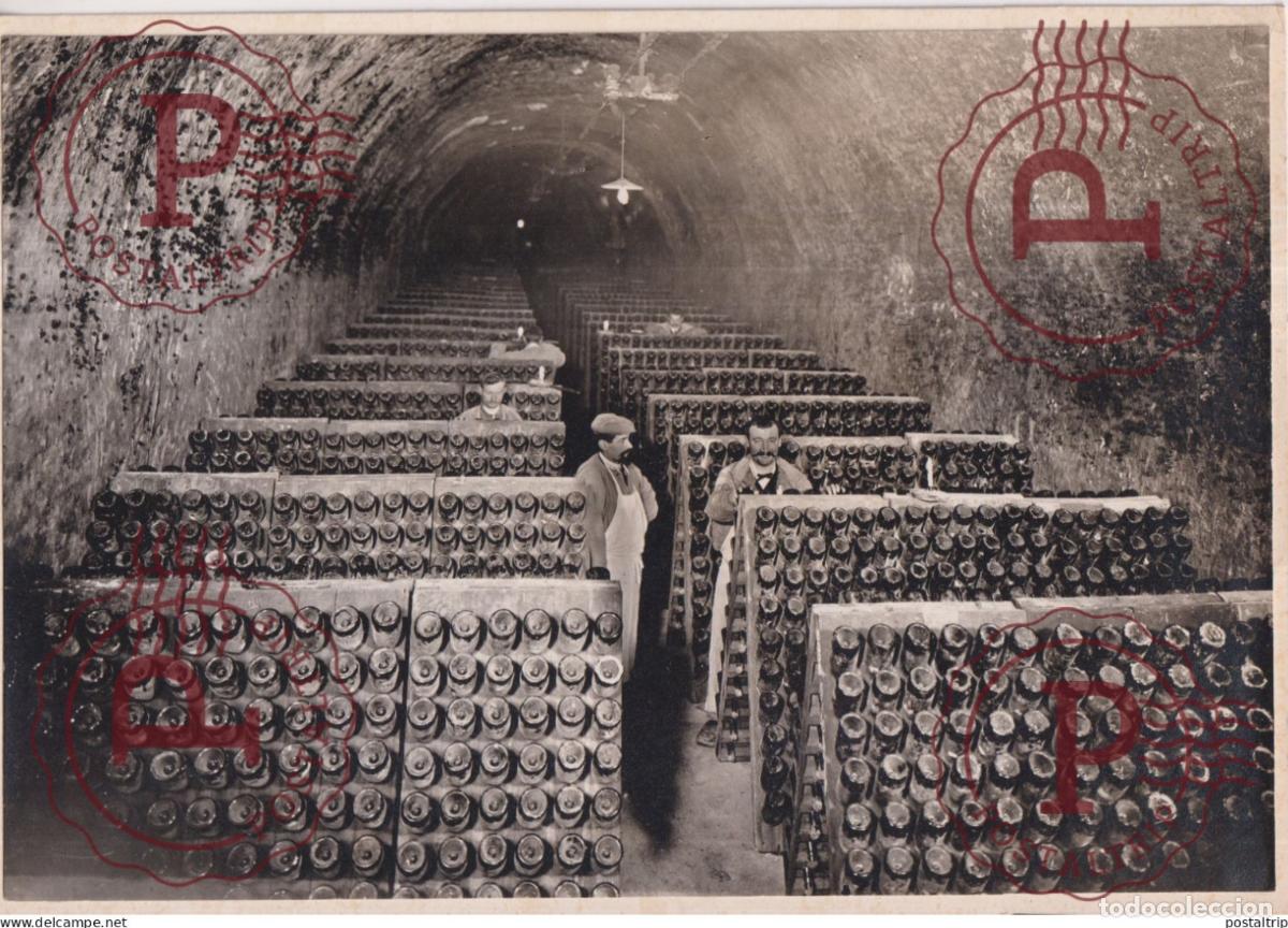 Photographie ancienne: VENFANGES EN CHAMPAGNE 23*16CM vendimia vendanges druivenoogst vignes vin vino RAISIN VENDEMMIA