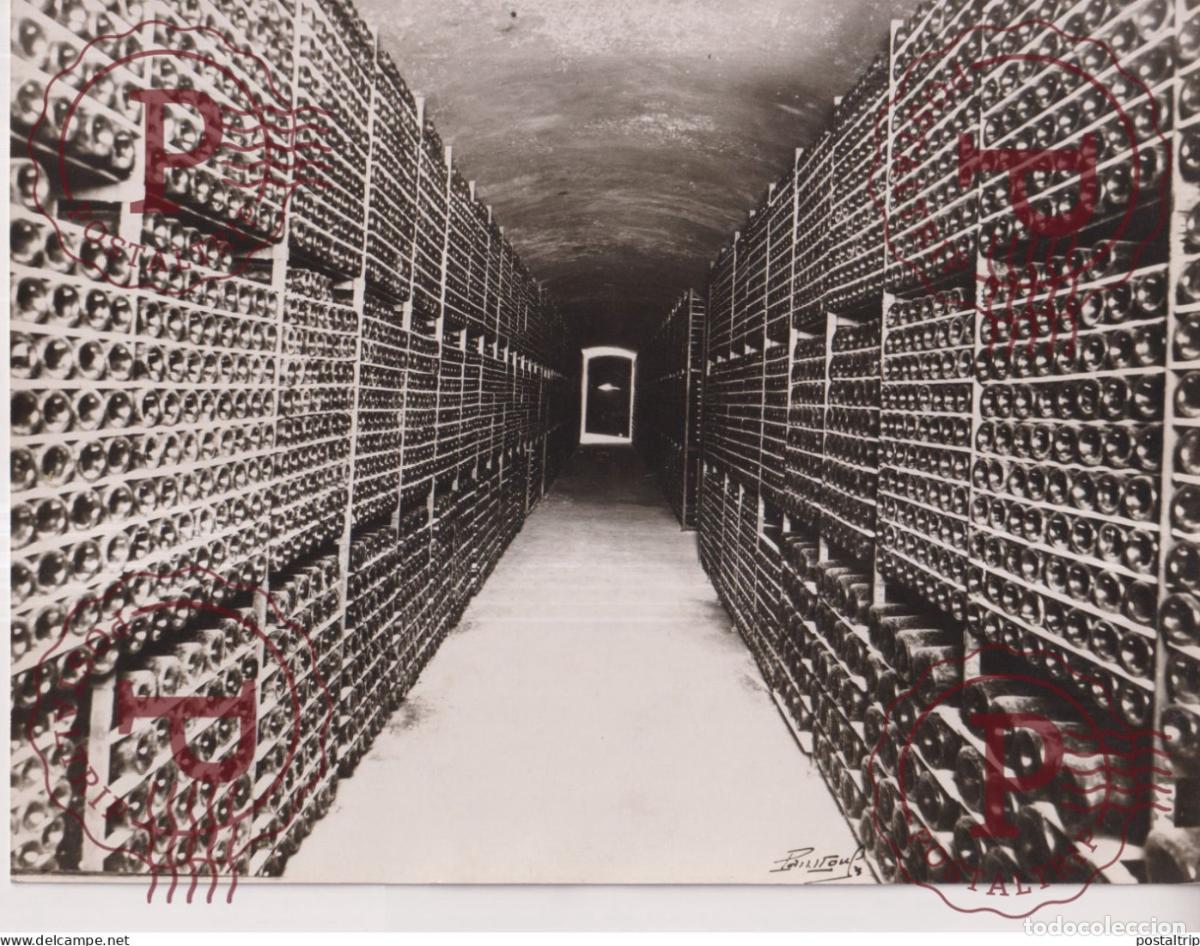 Photographie ancienne: CHAMPAGNE UNE CAVE 24*18CM vendimia vendanges druivenoogst vignes vin vino RAISIN VENDEMMIA
