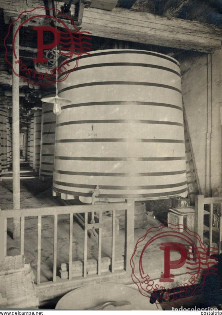 Photographie ancienne: 16*12CM vendimia vendanges druivenoogst vignes vin vino RAISIN VENDEMMIA
