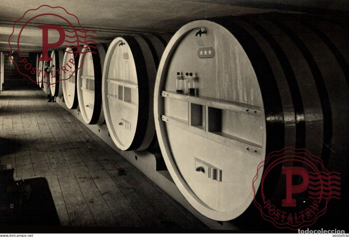 Photographie ancienne: BORDEAUX 15*11CM vendimia vendanges druivenoogst vignes vin vino RAISIN VENDEMMIA