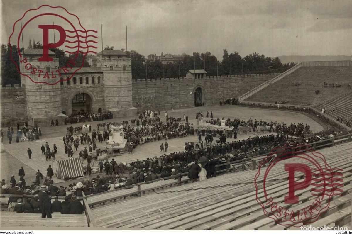 Alte Fotografie: BORDEAUX BACCHUS FOTO BRANGER 16*11CM vendimia vendanges druivenoogst vignes vin vino RAISIN VEND