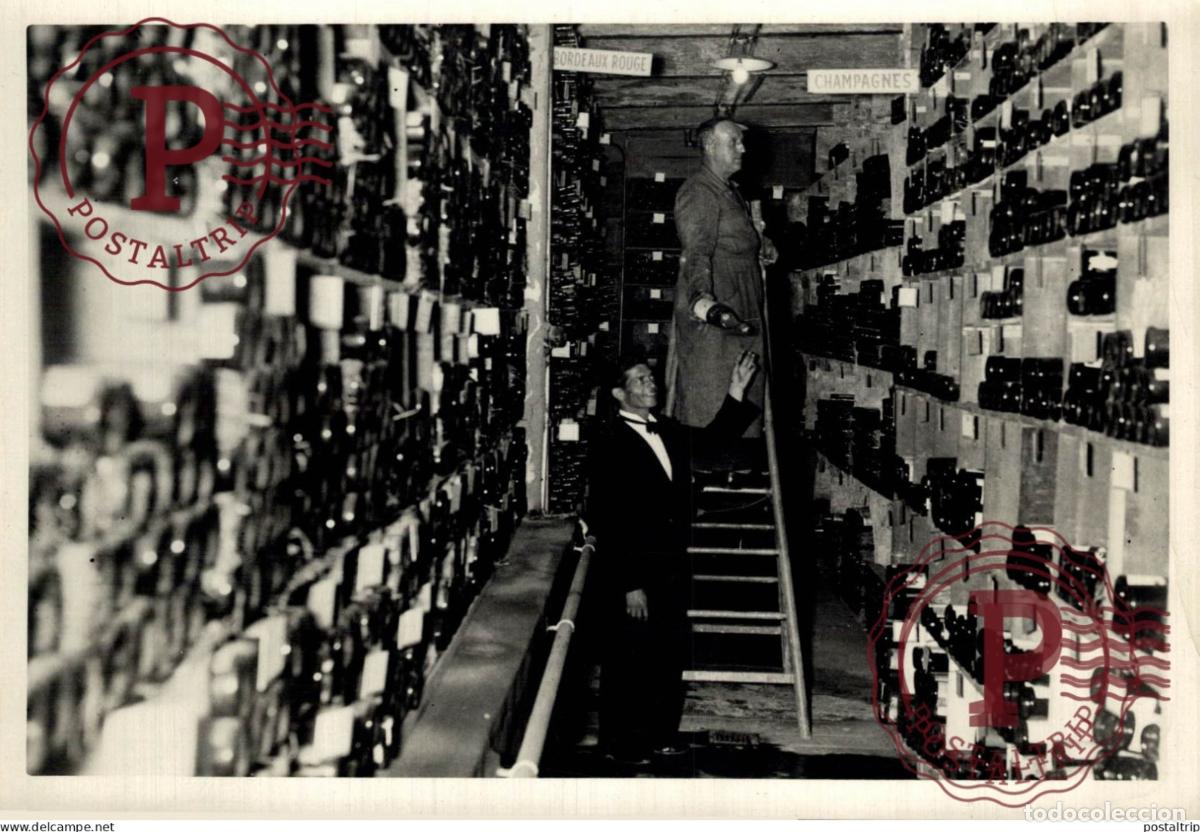 Alte Fotografie: champagne BORDEAUX CAVE SEE BACK 18*13CM vendimia vendanges druivenoogst vignes vin vino RAISIN VEN
