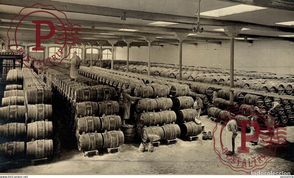 Alte Fotografie: CHAMPAGNE FRANCE 21*13CM vendimia vendanges druivenoogst vignes vin vino RAISIN VENDEMMIA