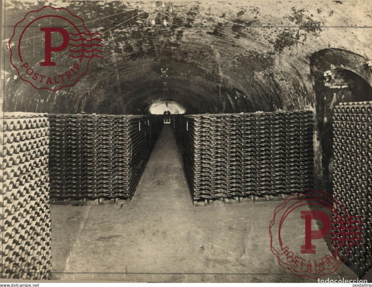 Alte Fotografie: 1928 CAVE 22*16CM vendimia vendanges druivenoogst vignes vin vino RAISIN VENDEMMIA