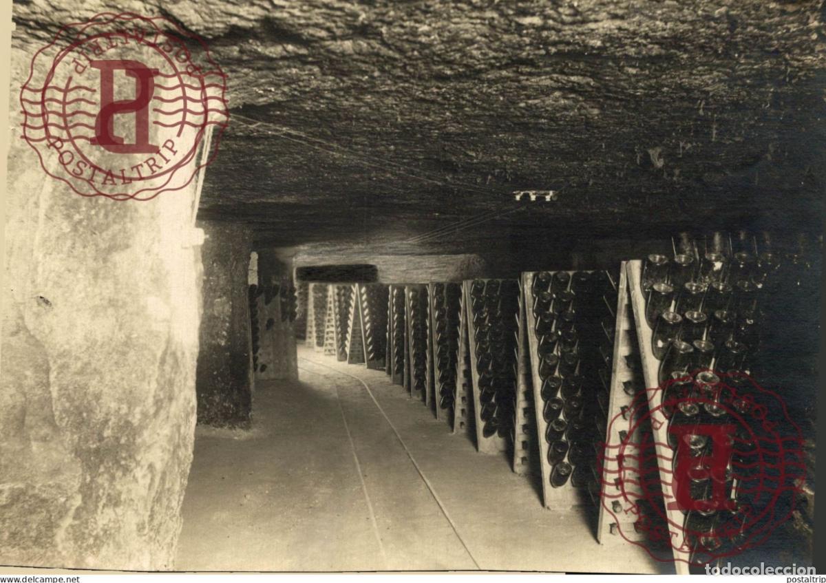 Alte Fotografie: CHAMPAGNE CAVE 22*16CM vendimia vendanges druivenoogst vignes vin vino RAISIN VENDEMMIA
