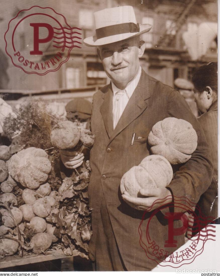 Alte Fotografie: SEE CORNERS ELIZABETH NJ 23*18CM AGRICULTURE LANDBOUW AGRICULTURA