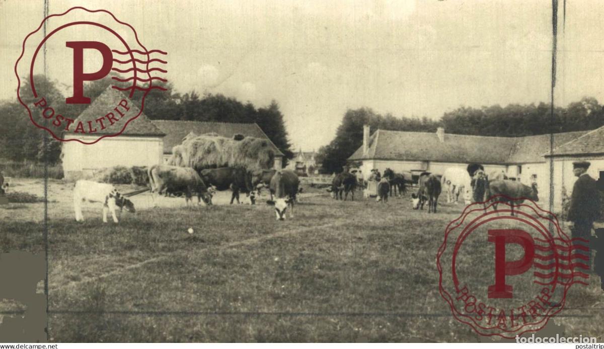 Fotograf&iacute;a antigua: FERME NORMANDIE 14*9 CM AGRICULTURE LANDBOUW AGRICULTURA