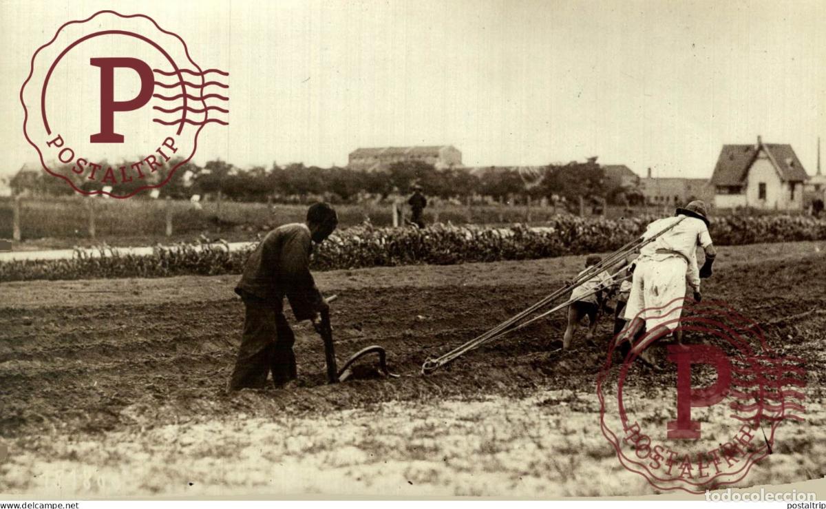 Fotograf&iacute;a antigua: 1934 CHINE CHINA AGENCE ROL 16*10 CM AGRICULTURE LANDBOUW AGRICULTURA
