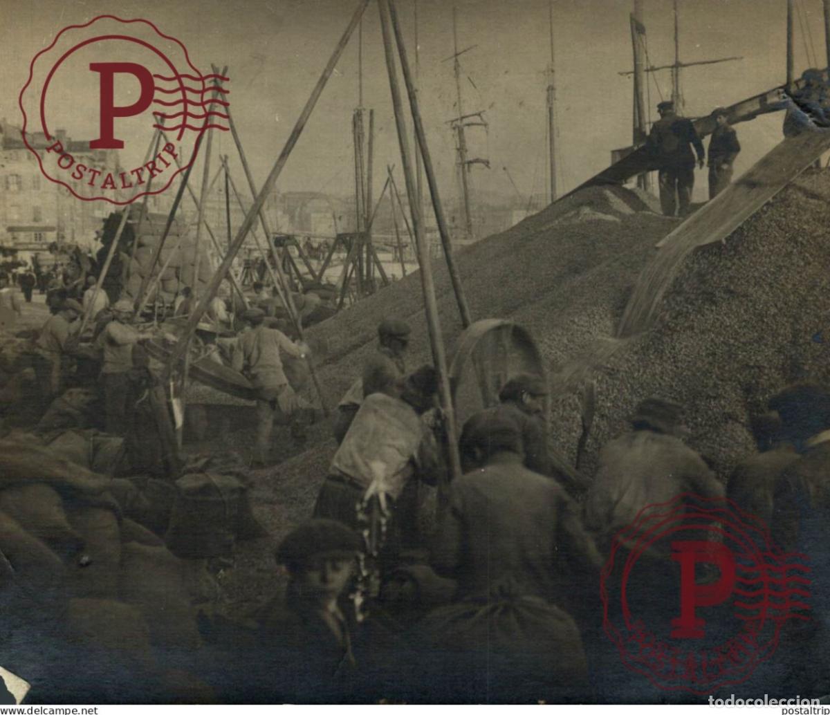 Fotograf&iacute;a antigua: MARSEILLE DECHARGEMENT D ARCHIDES DU SENEGAL POR L ARMEE MINISTERE DE GUERRE 14*13 CM AGRICULTURE L