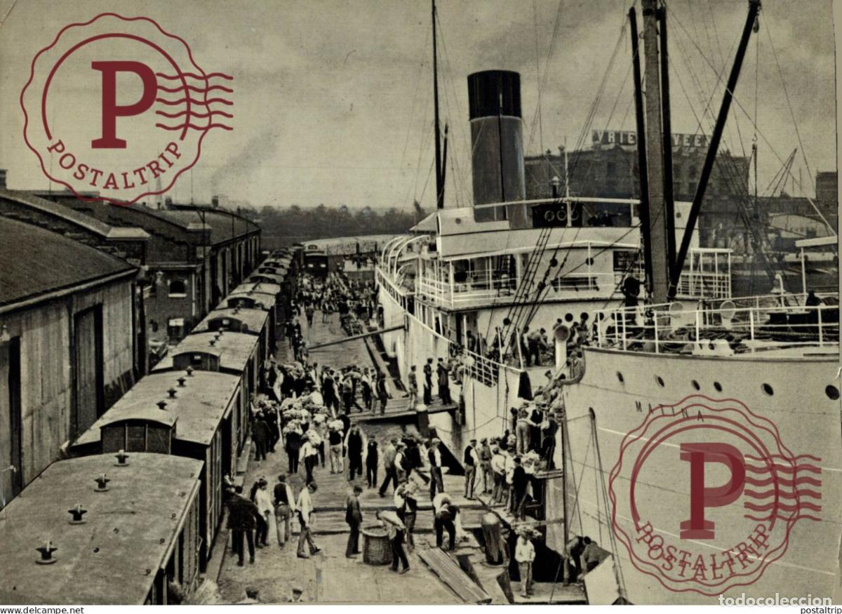 Antique Photography: MATINA ROTTERDAM 1928 RAILROAD RAILWAY CHEMIN DE FER 25*18 CM AGRICULTURE LANDBOUW AGRICULTURA