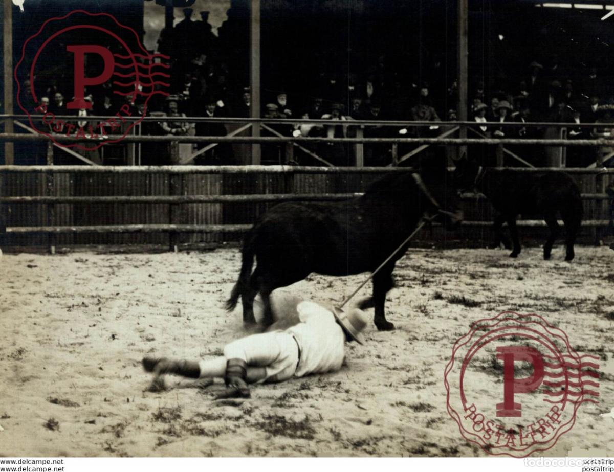 Fotograf&iacute;a antigua: WILD AUSTRALIA AT THE CRYSTAL PALACE LONDON RODEO 21*15 CM Fonds Victor FORBIN 1864-1947