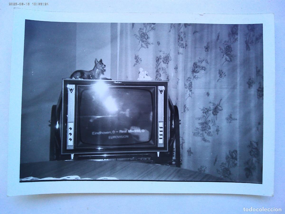 Fotograf&iacute;a antigua: FOTO DE TELEVISION CON PERRITO