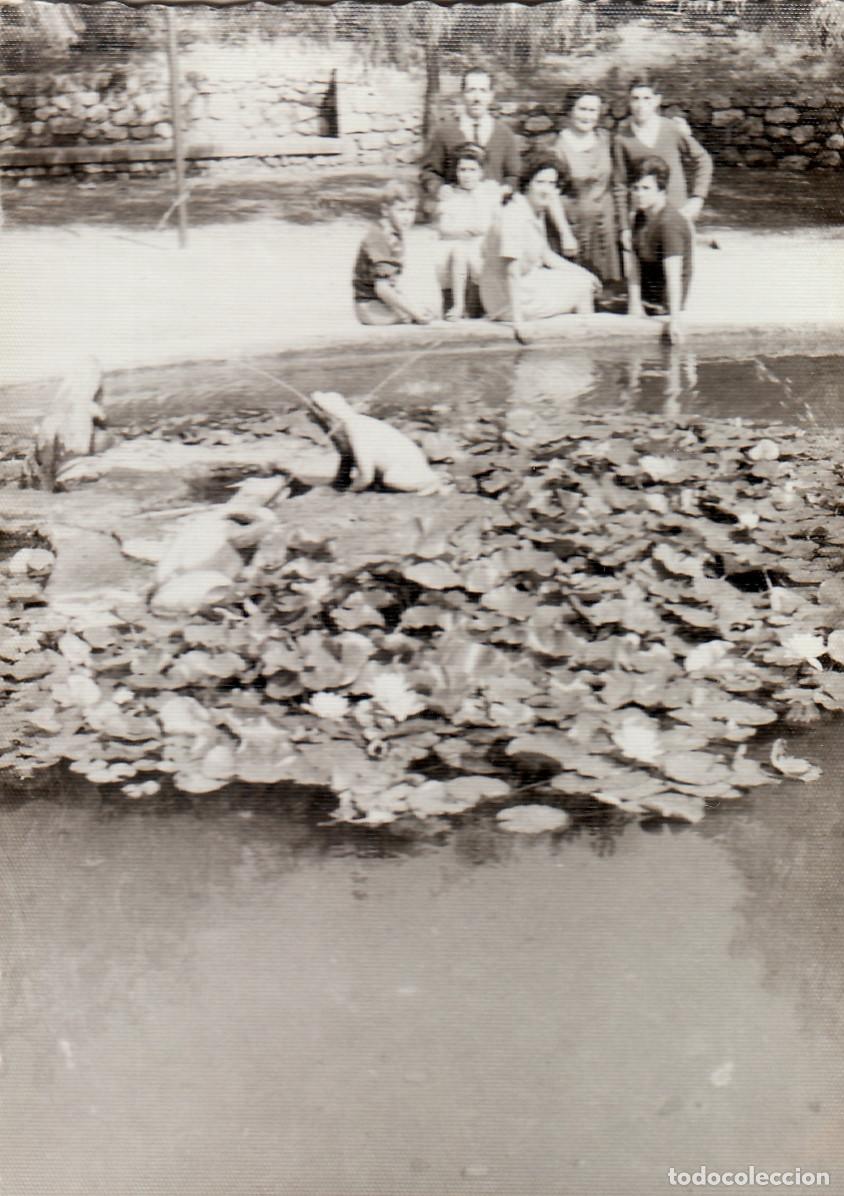 Fotograf&iacute;a antigua: Estanque, fuente de las Ranas, Barcelona?. A&ntilde;os 50-60 pc