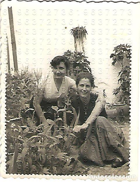 Fotograf&iacute;a antigua: FREGENAL DE LA SIERRA FARMACEUTICA 8X6 FOTOGRAFIA UNICA J92