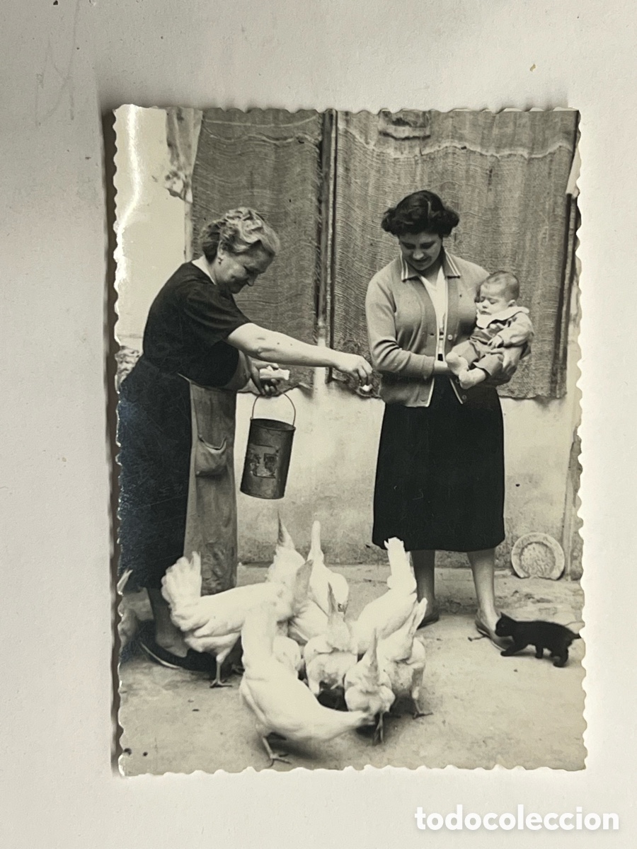 Alte Fotografie: Gallinero y Gallinas.. Fotograf&iacute;a en el Corral del pueblo de los abuelos.., Abril de 1959