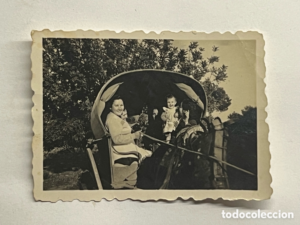 Fotografia antica: ARROZ Y TARTANA.. Valencia camino de la huerta&hellip; (h.1950?)