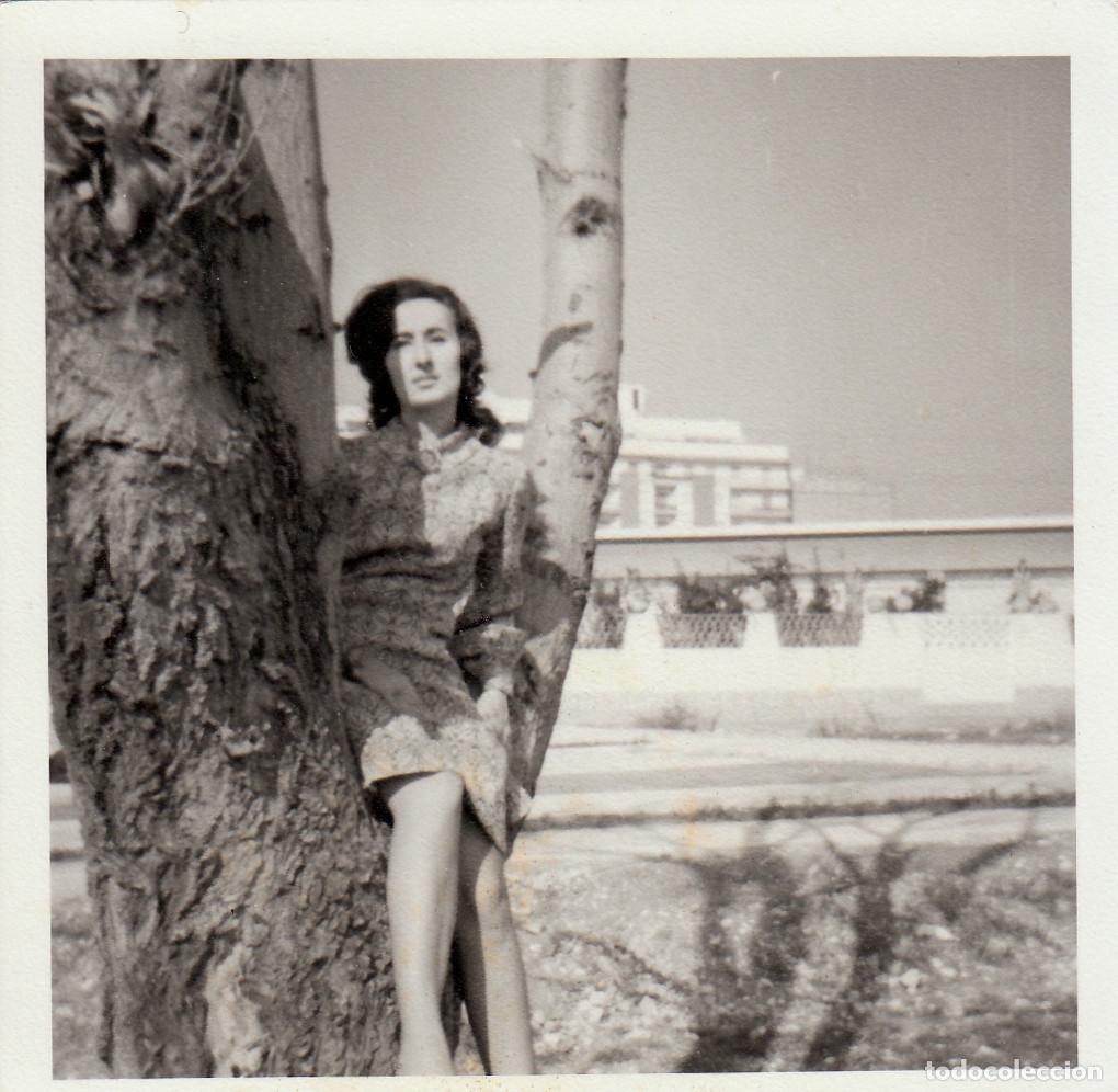 Fotograf&iacute;a antigua: Chica subida a un &aacute;rbol. A&ntilde;os 60. pc