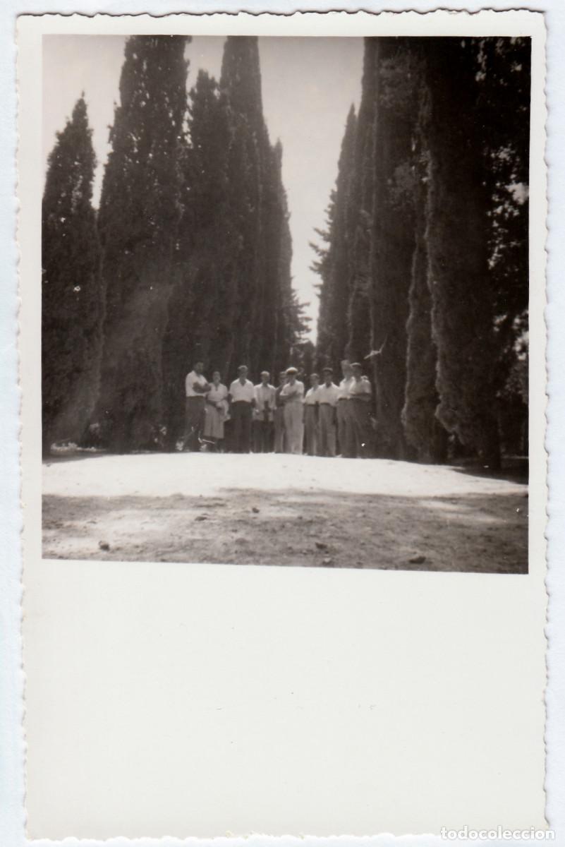 Fotograf&iacute;a antigua: Grupo de amigos en la Avenida de los Cipreses del Generalife, Granada?. A&ntilde;os 60. pc