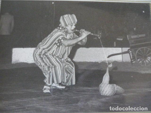 Alte Fotografie: CIRCO PAYASOS TRIO PEPIN LEON FOTOGRAFIA 12 X 17 CM