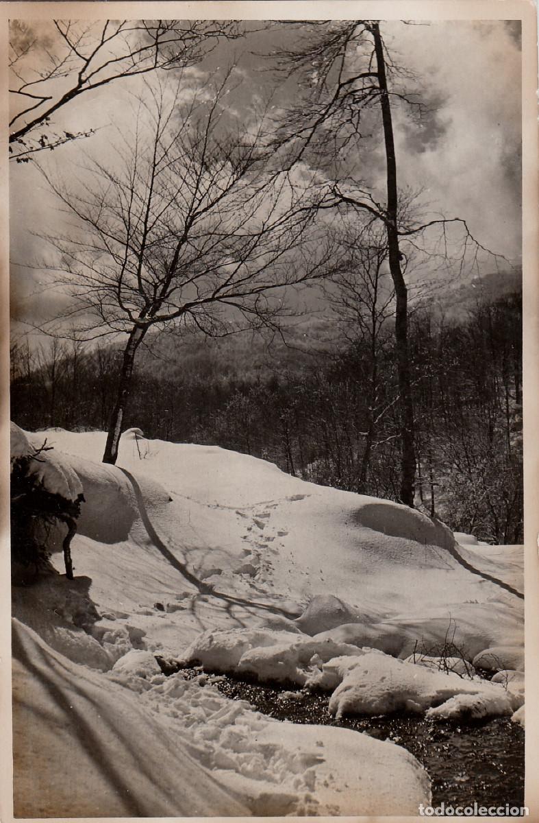 Fotograf&iacute;a antigua: Paisaje monta&ntilde;oso nevado. A&ntilde;os 50. pc
