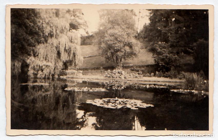 Fotograf&iacute;a antigua: Lago con nen&uacute;fares. A&ntilde;os 50. pc