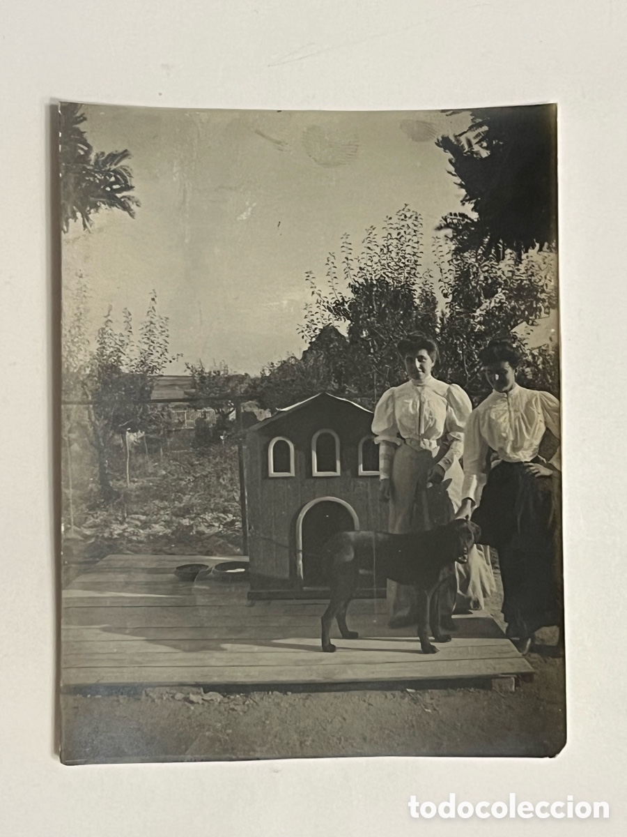 Fotograf&iacute;a antigua: BARCELONA MODERNISTA .. El Perro burgu&eacute;s.. que disfrutaba de una linda casita&hellip; (h.1900?)
