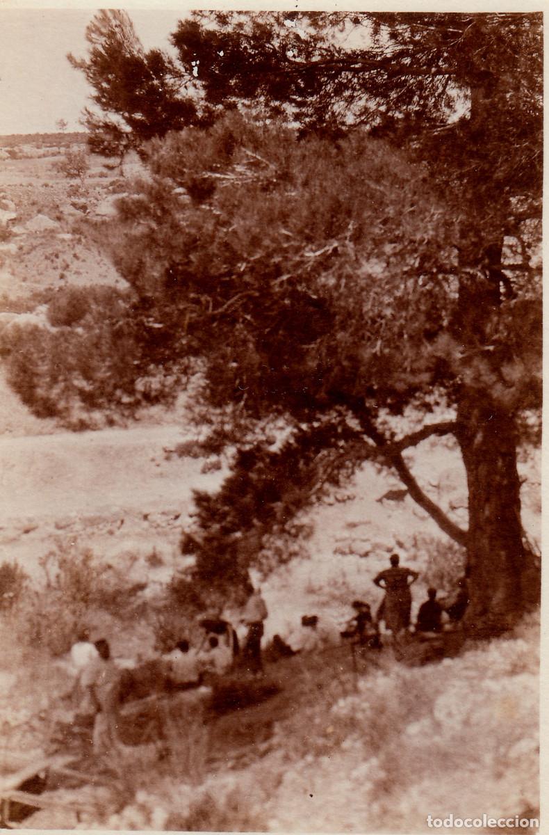 Fotograf&iacute;a antigua: Muy antigua foto. Amigos a la sombra de un gran &aacute;rbol. A&ntilde;os 20? pc