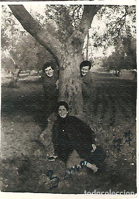 Fotograf&iacute;a antigua: FREGENAL DE LA SIERRA FARMACEUTICA PEREZ OLMEDO 8X5 FOTOGRAFIA UNICA B43