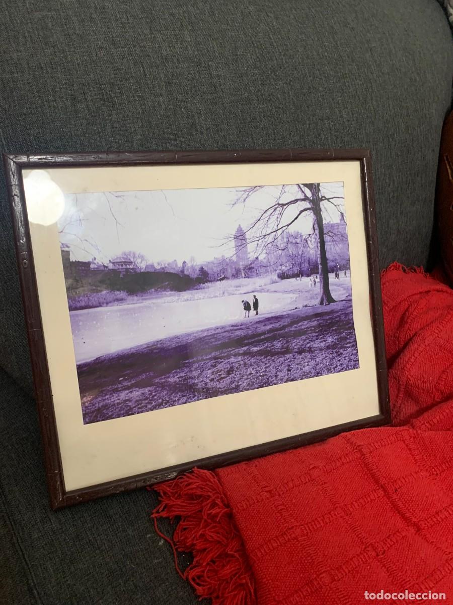Fotograf&iacute;a antigua: fotografia parque enmarcada artista a identificar