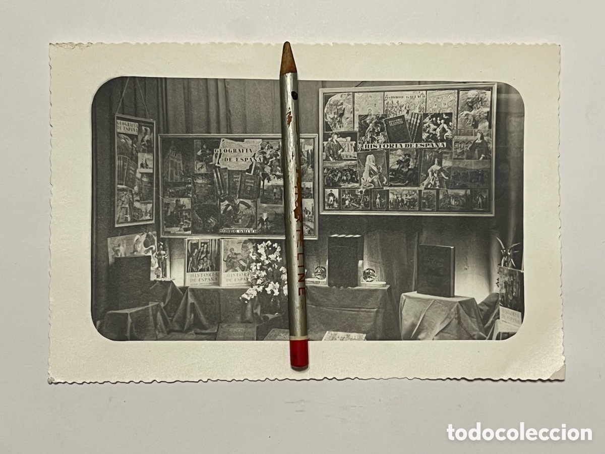 Fotograf&iacute;a antigua: C&Aacute;DIZ. EDITORIAL ESCELICER. Fotograf&iacute;a Librer&iacute;a Cervantes. Escaparates de la calle Columela (a.1960)