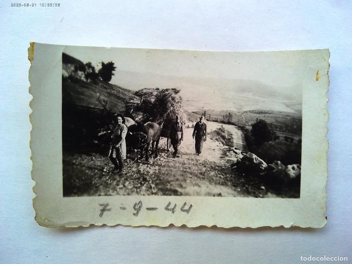 Photographie ancienne: FOTO DE CHICA CON BUEYES, CARRO CARGADO Y MILITARES , 1944