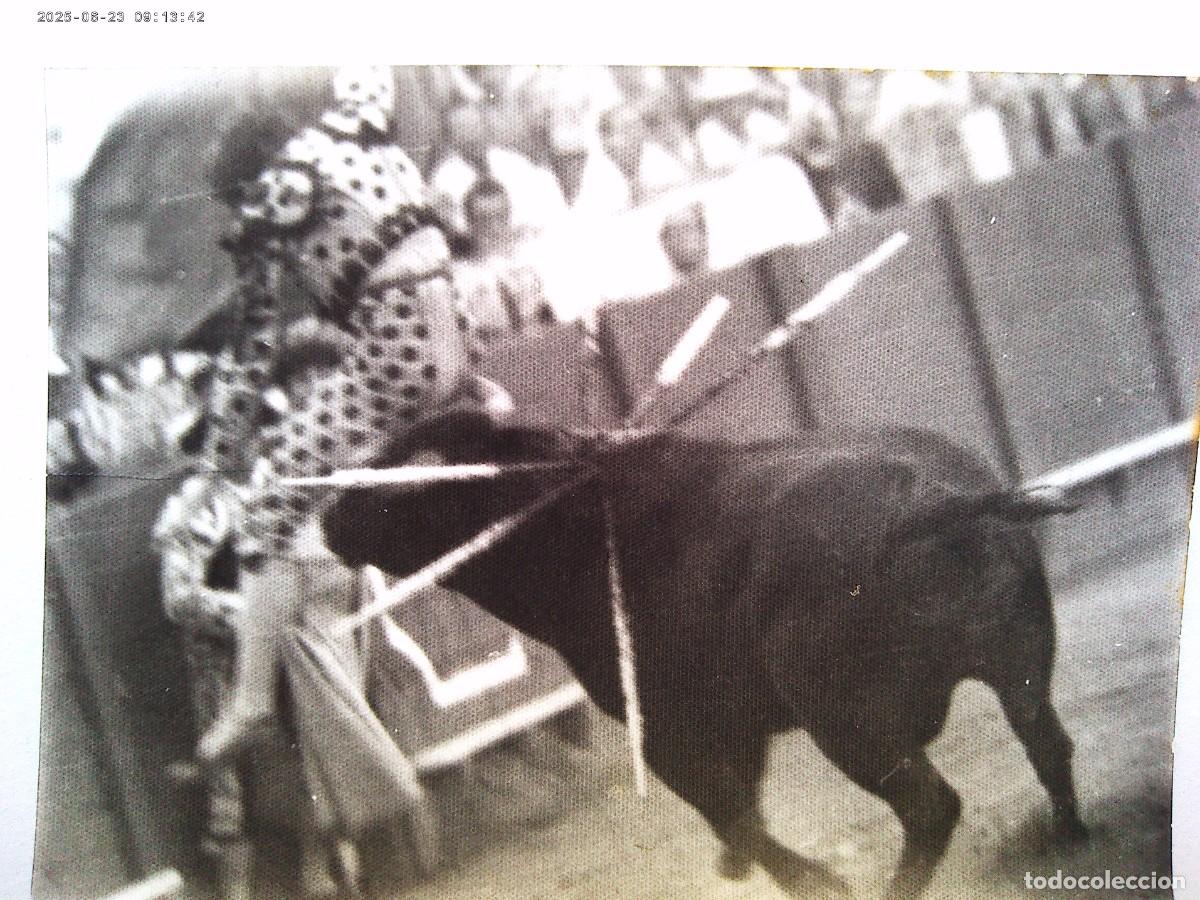 Fotograf&iacute;a antigua: FOTO DE CORRIDA DE TOROS : COGIDA DE UN TORERO