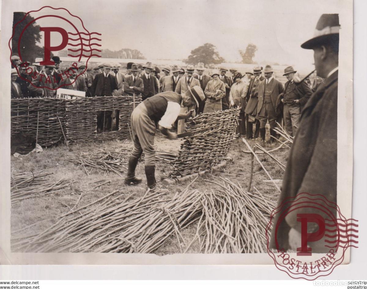 Fotografia antiga: FARMERS AT SCHOOL AGRICULTURE SHOW 20*15CM Fonds Victor FORBIN 1864-1947