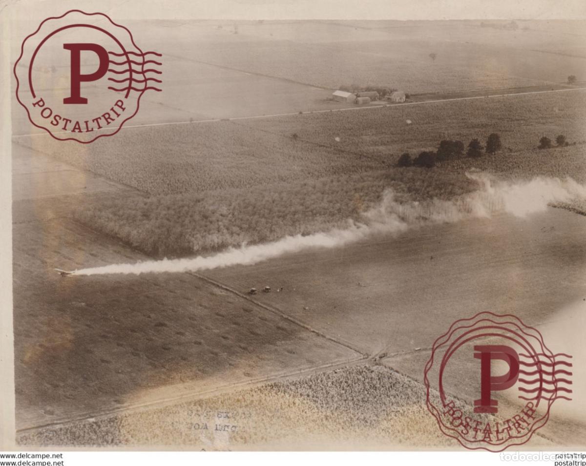 Fotografia antiga: INSECT CONTROL SPRAYING INSECT KILLER BY AEROPLANE SOUTHERN COTTON FIELDS USA 21*16CM Fonds Victor
