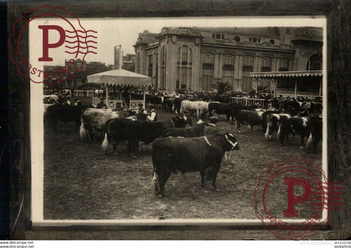 Alte Fotografie: BUENOS AIRES ARGENTINA 18*13CM Fonds Victor FORBIN 1864-1947