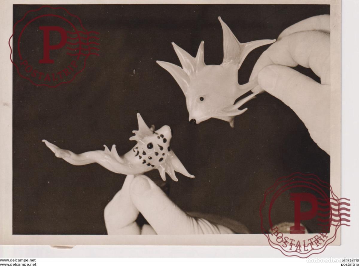 Alte Fotografie: FISH MADE OF GLASS BEATRICE ENES BROOK STREET ART GALLERY 16*12CM Fonds Victor FORBIN 1864-1947