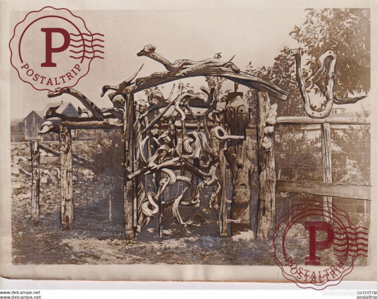 Alte Fotografie: THE GATE OF SERPENTS UPPER FLATHEAD LAKE MONTANA EGYPTIAN xylology, forestry 20*15CM Fonds Victor FO