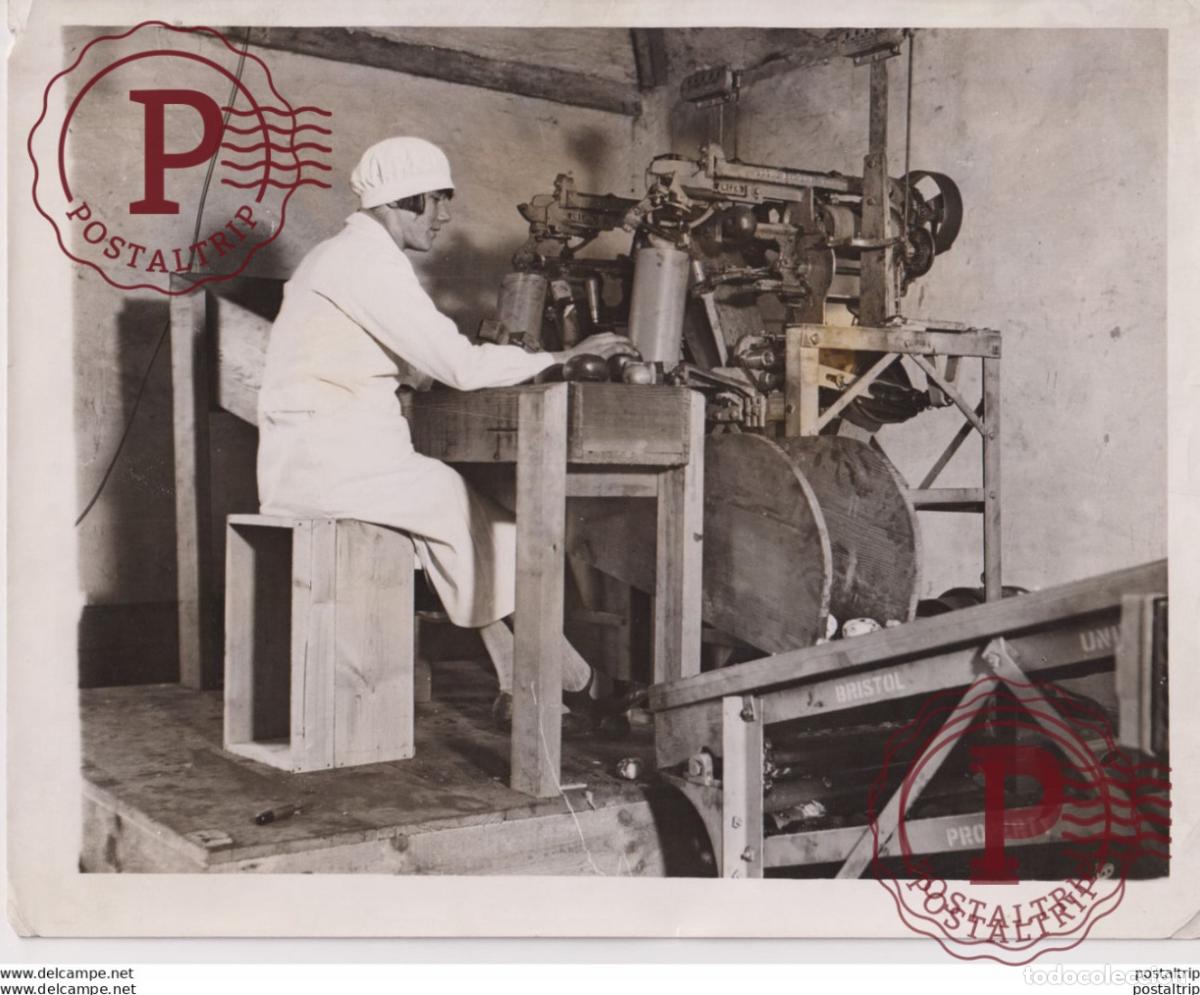 Alte Fotografie: EAST FARLEIGH KENT MINISTER OF AGRICULTURE FEEDING APPLES MACHINE 25*20CM Fonds Victor FORBIN 1864-1