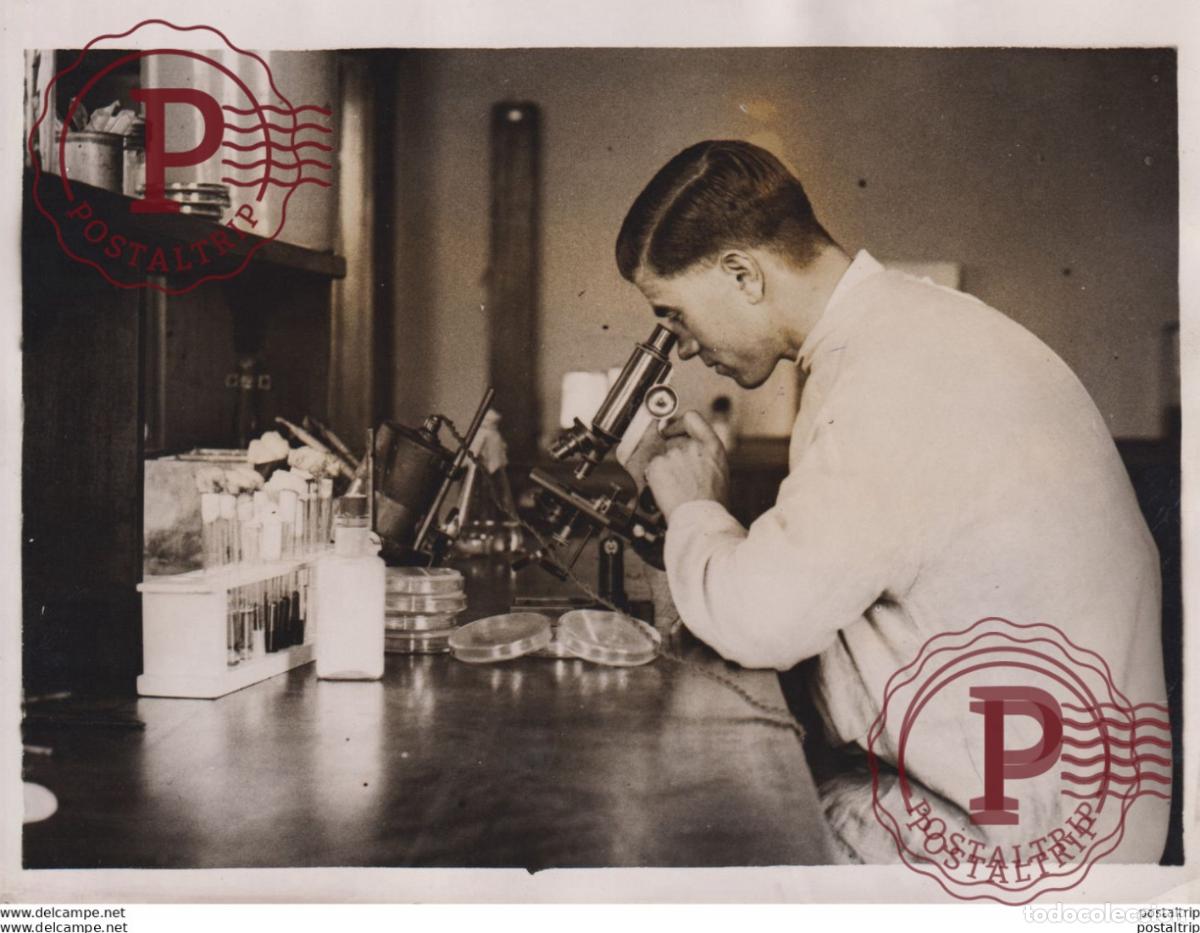 Fotografia antiga: SCIENCE NATIONAL INSTITUTE FOR RESEARCH DAIRYING SHEINFIELD MANOR 20*15CM Fonds Victor FORBIN 1864-1