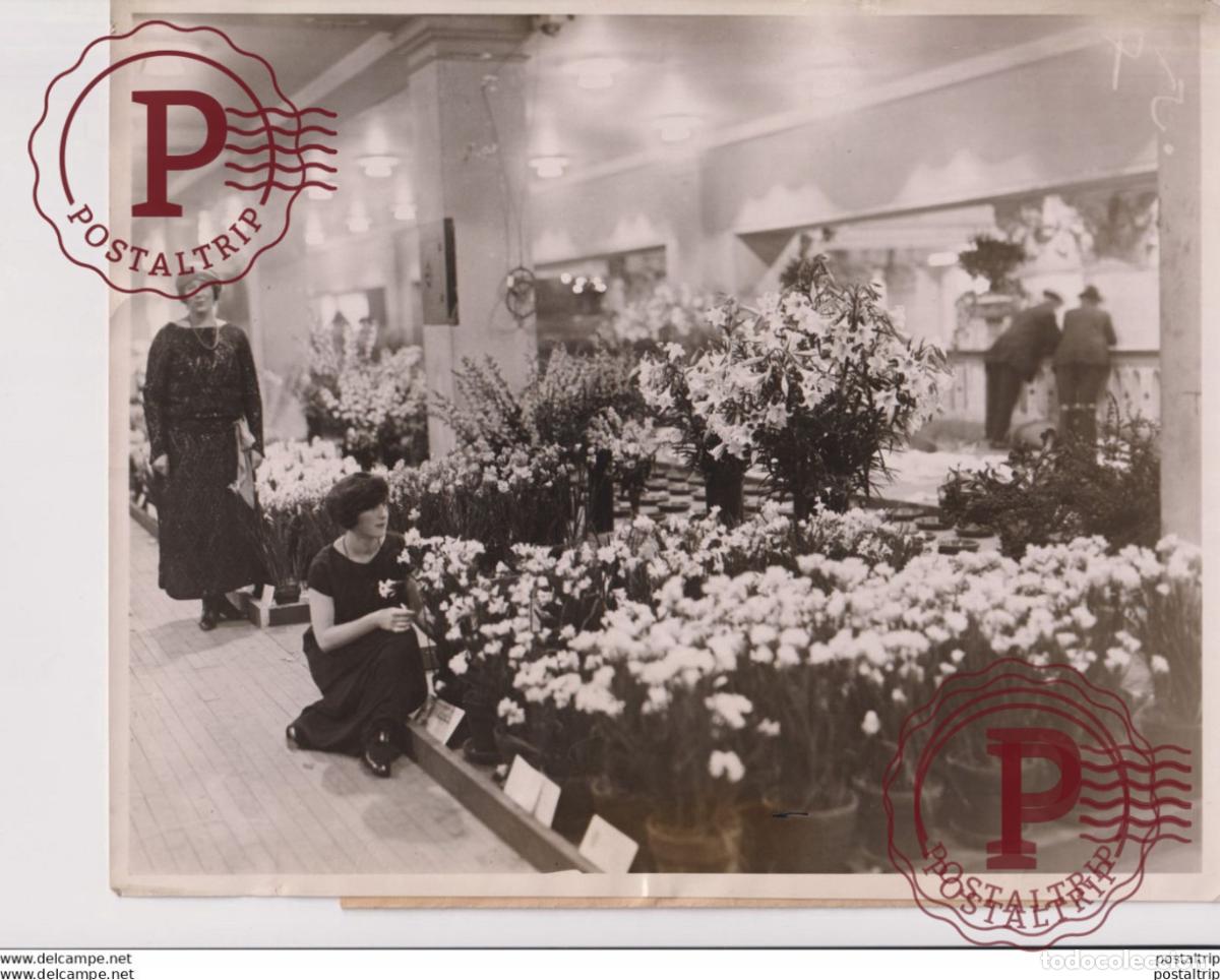 Alte Fotografie: GRAND CENTRAL PALACE NEW YORK CITY FREESIAS TENTH INTERNATIONAL FLOWER SHOW 25*20CM Fonds Victor FO
