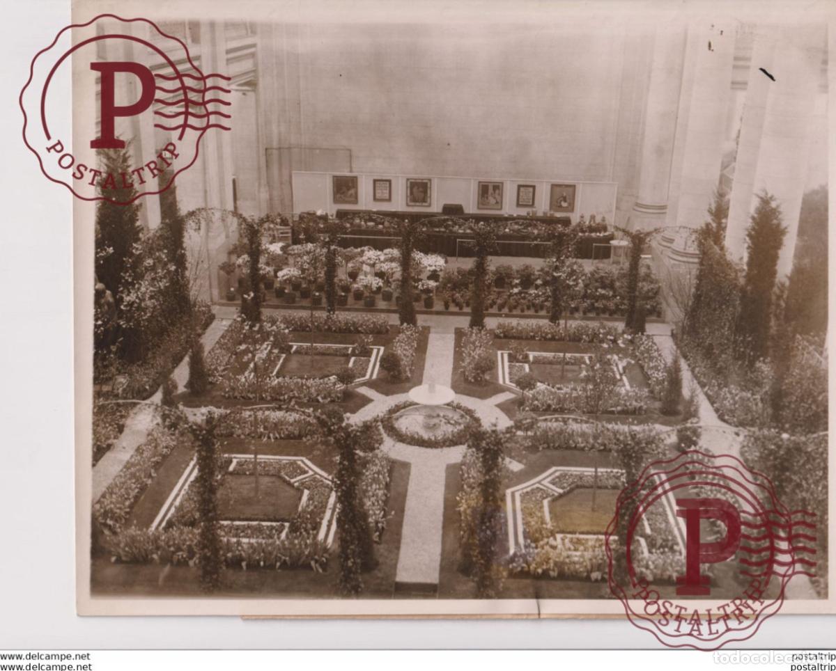 Fotografia antica: GRAND CENTRAL PALACE NEW YORK CITY FREESIAS TENTH INTERNATIONAL FLOWER SHOW JOHN 25*20CM Fonds Vict