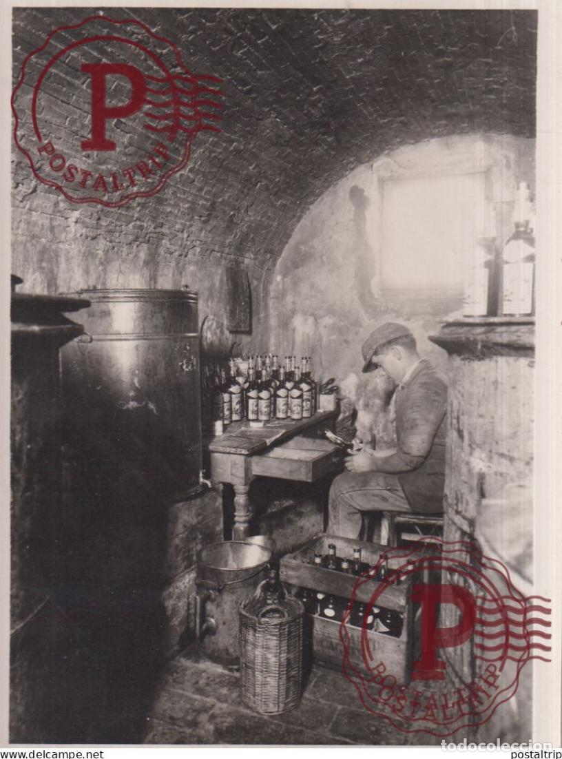 Fotograf&iacute;a antigua: L OLIVIER ET LHUILE DOLIVES PROVENCE ACEITE OLIVA FRANCE AGRICULTURA 16*12CM