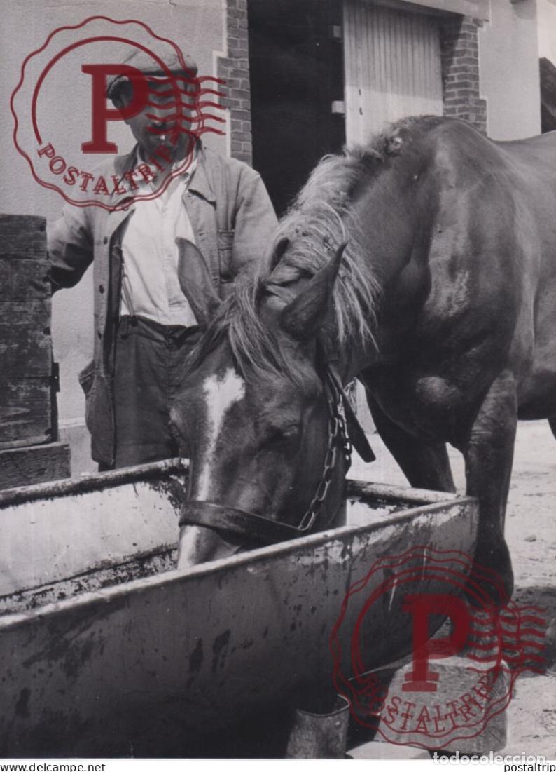Antique Photography: PAYSAN FRANCE AGRICULTURA 24*18CM