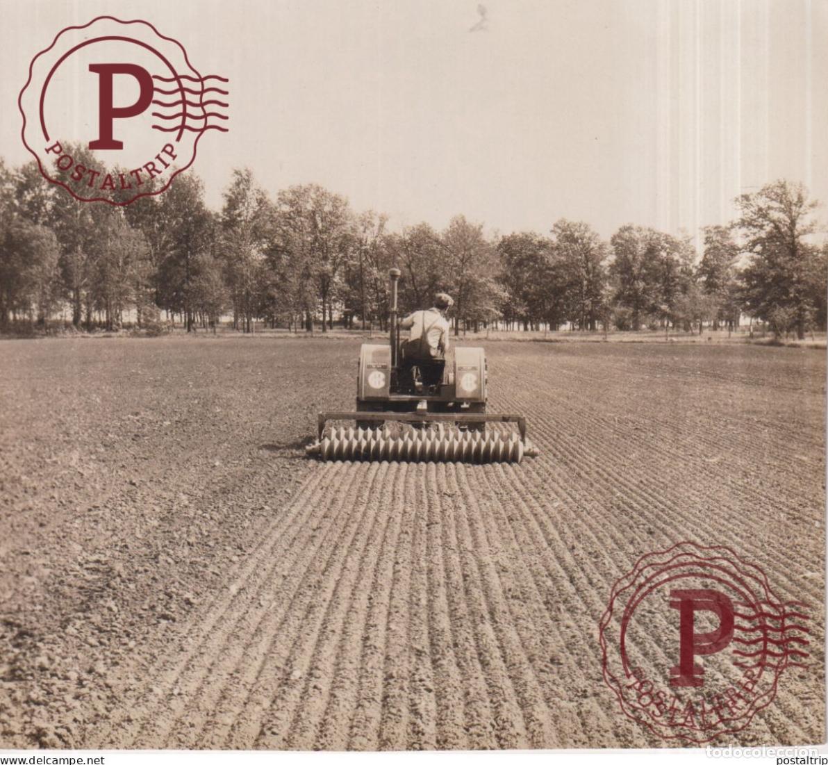 Alte Fotografie: TRACTEUR TRACTOR AGRICULTURA 12,5*12CM