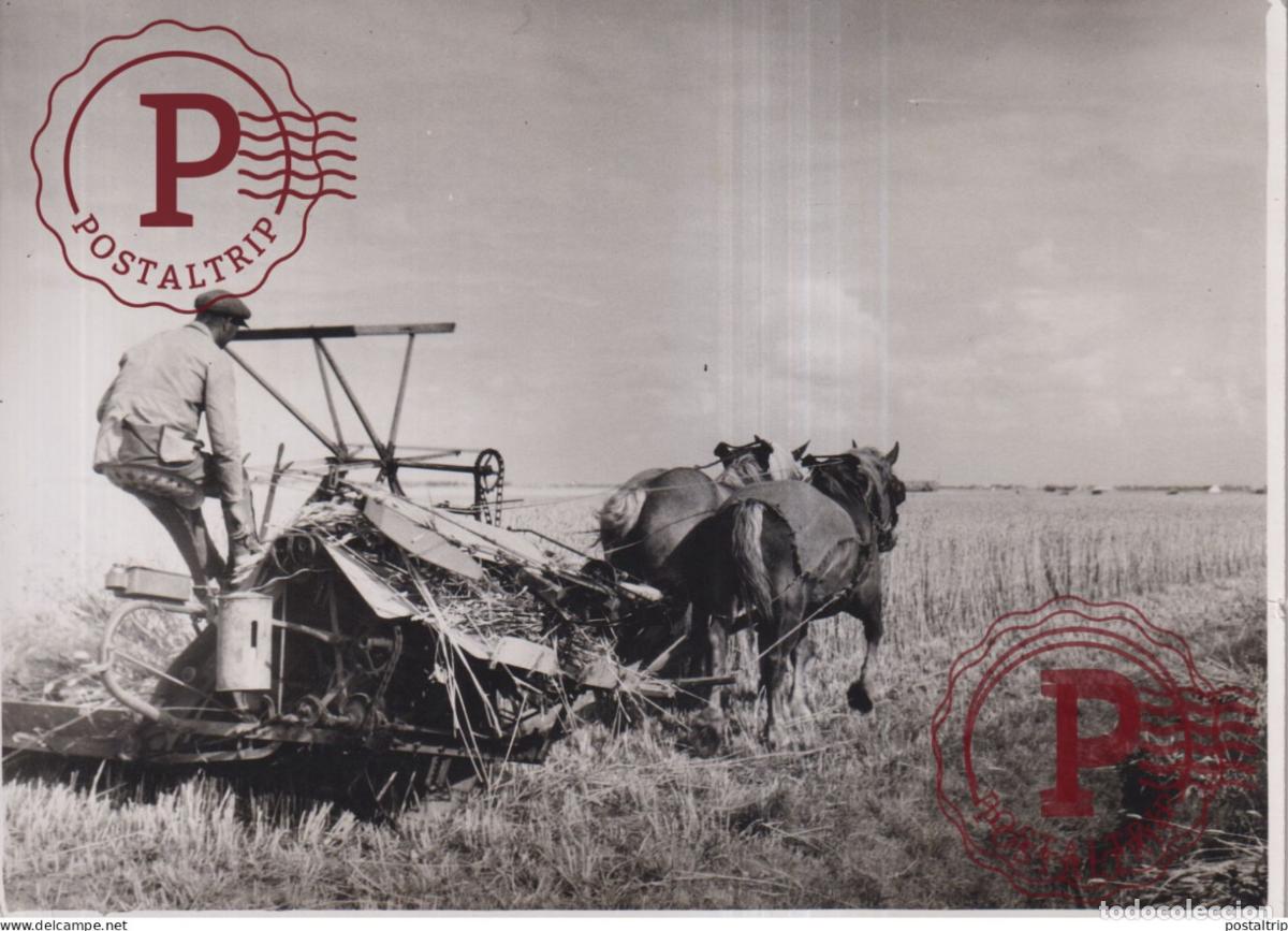 Alte Fotografie: TRACTEUR TRACTOR AGRICULTURA 18*13CM