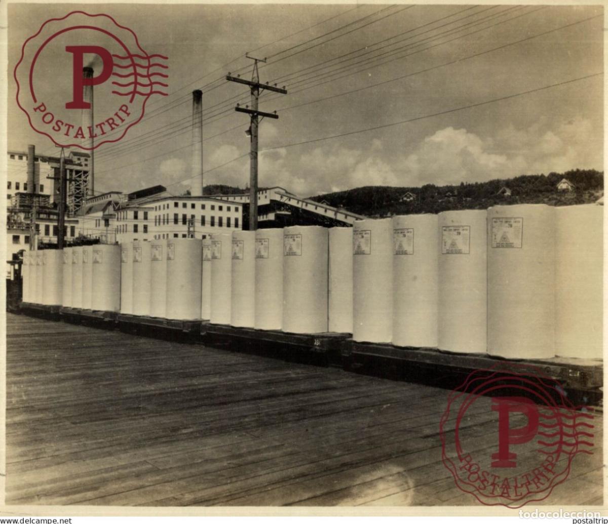 Alte Fotografie: CANADA BRITISH COLOMBIA USINE PATE A BOIS PAPERMILL 24*18CM INDUSTRIE INDUSTRY